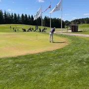 Putting